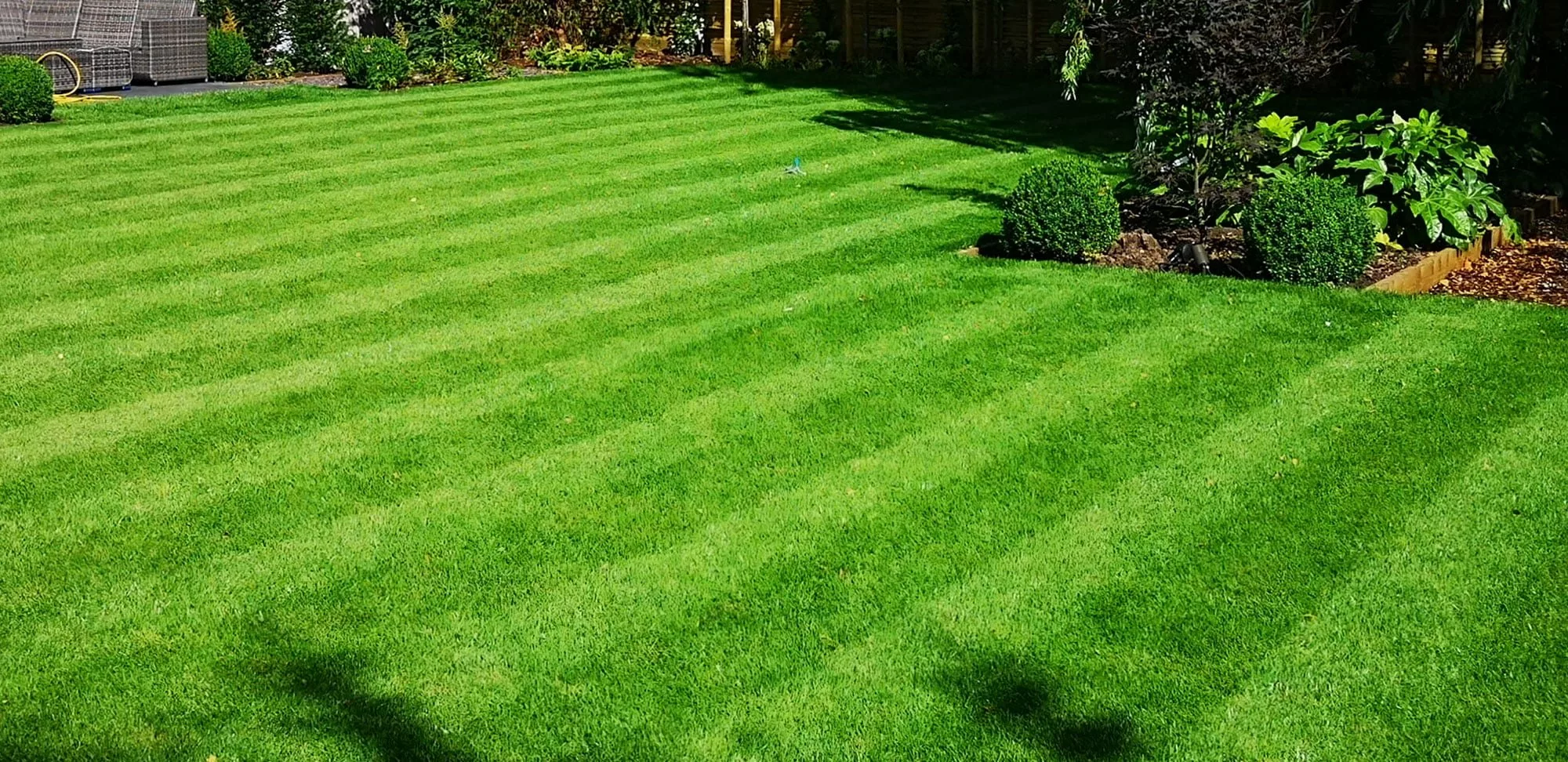 Striped lawn